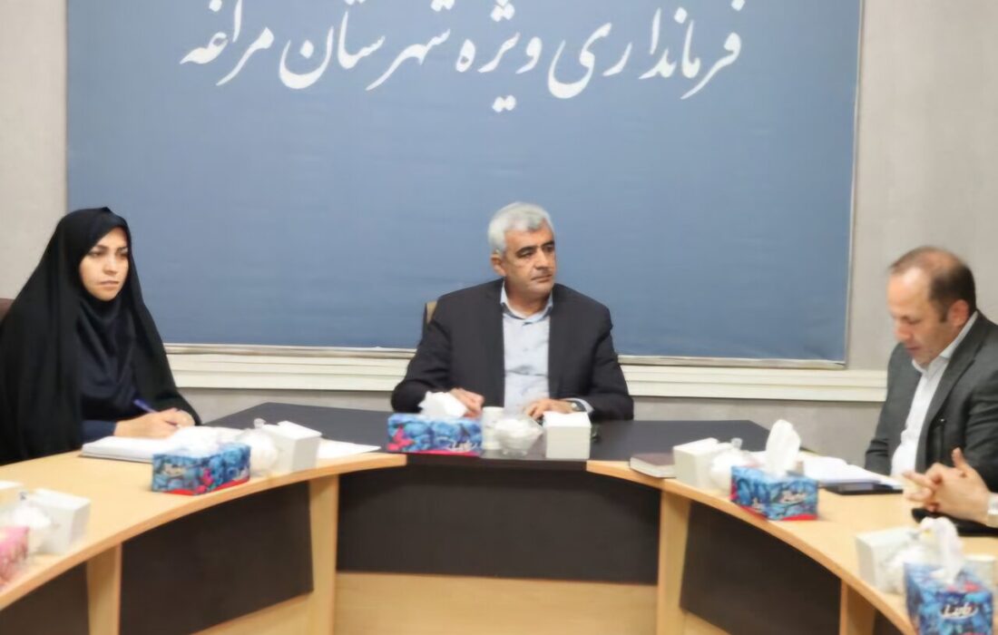 امینیان: اجرای قانون مدیریت بحران، وظیفه همگانی نهادها