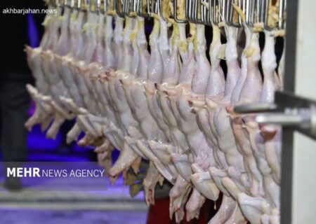 تحلیل عوامل آشفته‌بازار و صعود سرسام‌آور بهای مرغ در قم