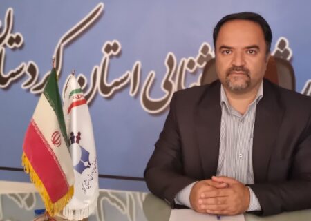 خانی: ۹۵ درصد والدین کودکان استثنایی کردستان با مشکلات اقتصادی دست و پنجه نرم می‌کنند