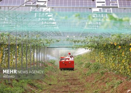 راهبرد شرکت‌های کشاورزی خارجی چین برای بین‌المللی شدن