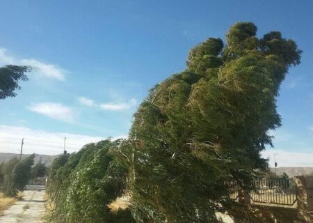 گلستان زیر تیغ باد؛ سرعت طوفان در علی‌آباد از مرز ۷۵ کیلومتر گذشت