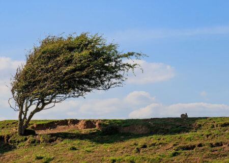 پیش‌بینی آب و هوای آرام و وزش باد در استان یزد