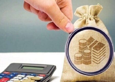 همراهی 4558 شهروند خراسان جنوبی با طرح نشان‌دار کردن مالیات