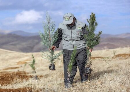 آغاز نهضت درختکاری در شهرکرد