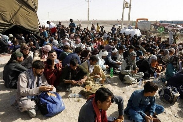 سرهنگ حبیبی: ۲۸۲ نفر اتباع بیگانه غیرمجاز جمع آوری شد