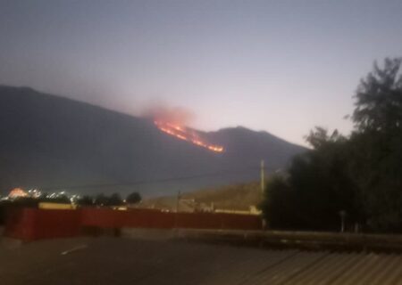 عیدی‌پور خبر داد: آتش‌سوزی در ارتفاعات کوه بمو شیراز