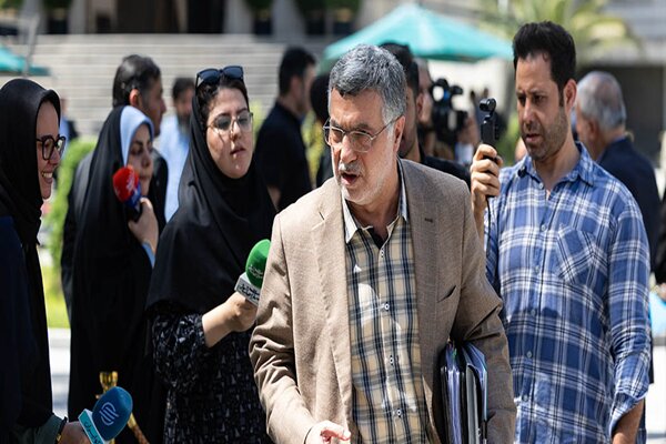 سفر وزیر بهداشت به مصر در راستای گسترش روابط