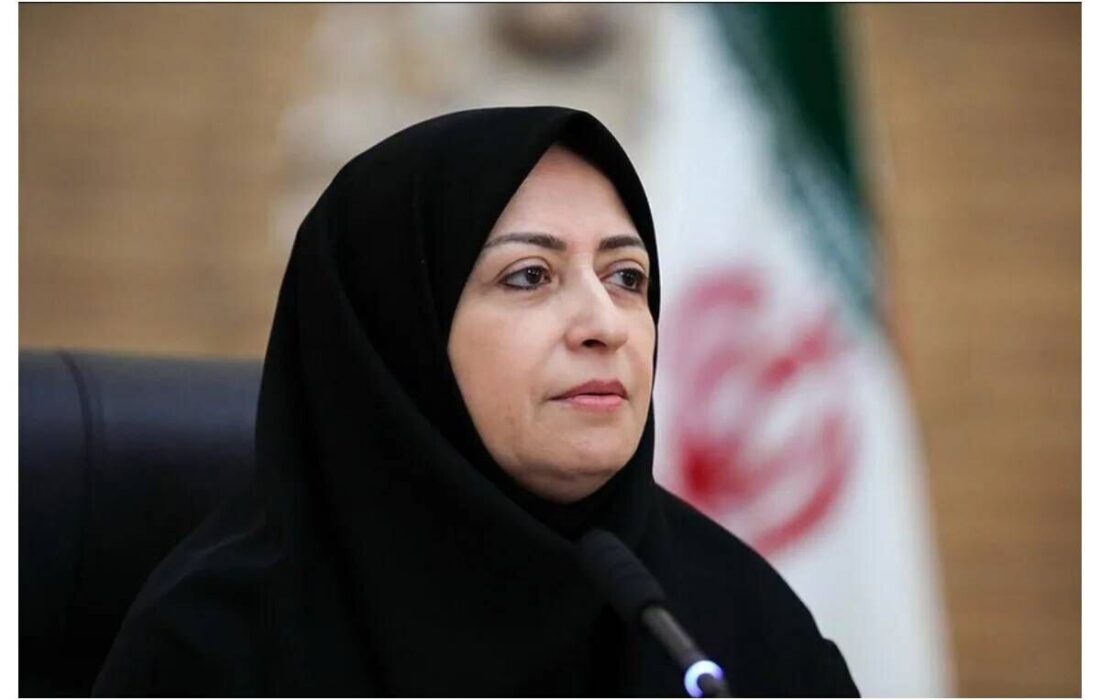 انصاری خواستار رعایت قوانین زیست‌محیطی در تصمیمات استانی شد