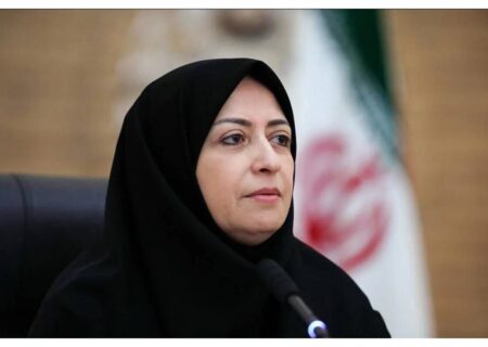 انصاری خواستار رعایت قوانین زیست‌محیطی در تصمیمات استانی شد