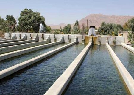گوزلی: رونق پرورش ماهی با عرقیات گیاهی در آذربایجان شرقی