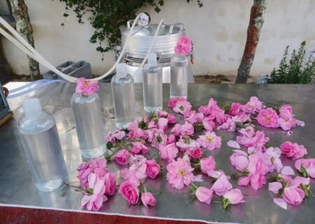 هشدار ادهمی: کاهش صادرات گلاب و کالا از گمرک کاشان زنگ خطر را به صدا درآورد