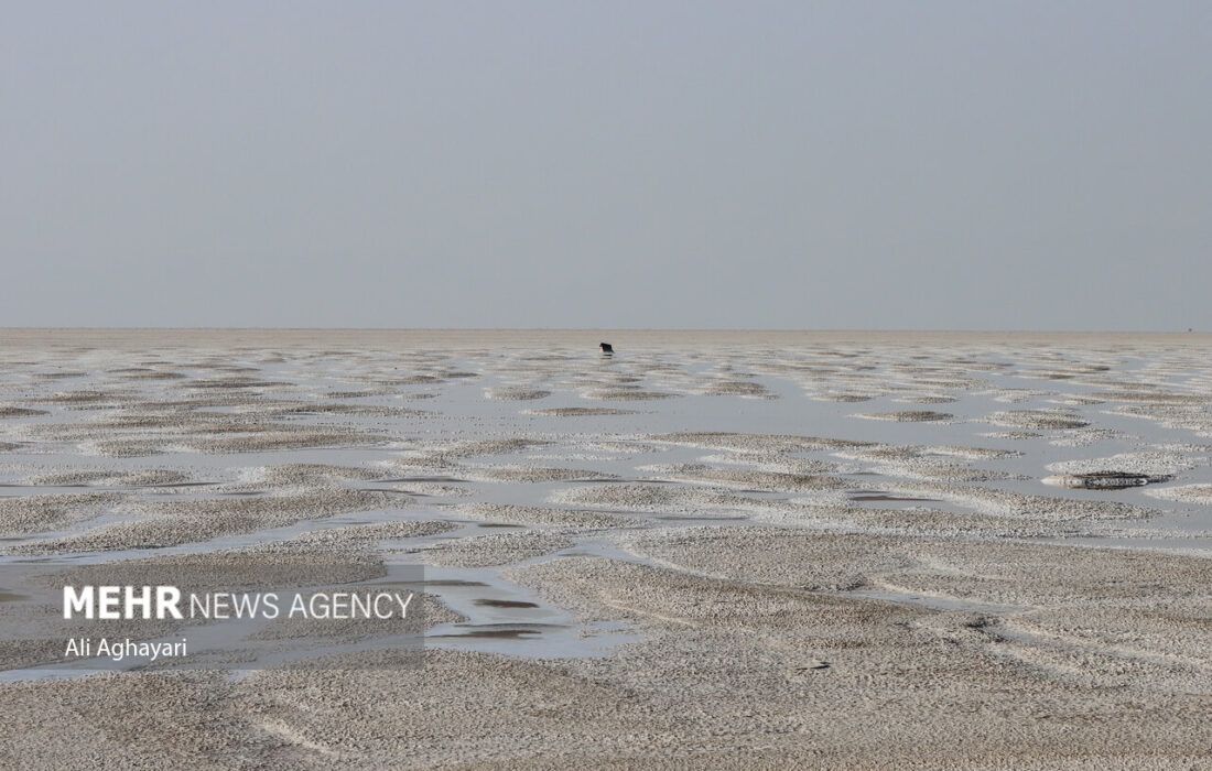 جباری: حق آبه دریاچه ارومیه تامین شود؛ نیاز آبی سالانه ۳.۴ میلیاردی