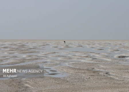 جباری: حق آبه دریاچه ارومیه تامین شود؛ نیاز آبی سالانه ۳.۴ میلیاردی