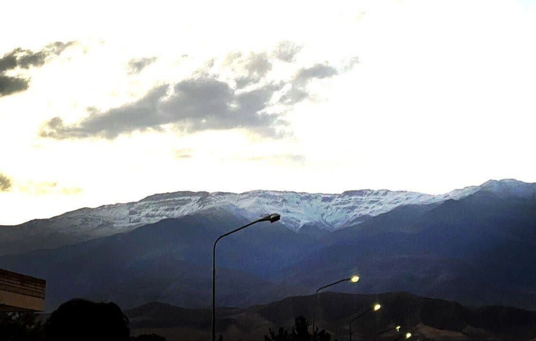 تنوع زیستی کوهستان شاهوار در قاب تصویر