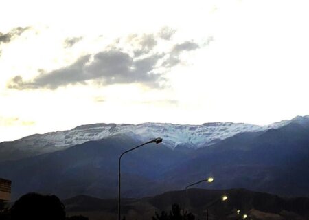 تنوع زیستی کوهستان شاهوار در قاب تصویر