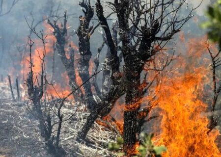 مهار آتش در جنگل‌های کوه تنوم پلدختر