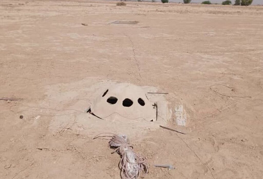 آغاز طرح ضربتی مقابله با صید و قاچاق پرندگان شکاری در بوشهر