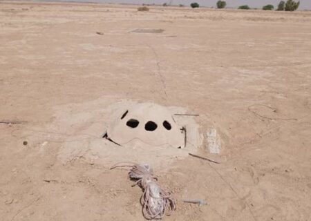 آغاز طرح ضربتی مقابله با صید و قاچاق پرندگان شکاری در بوشهر