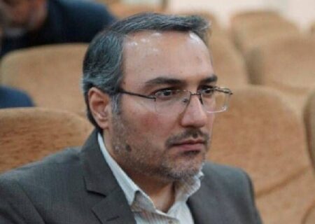 شهاب: احزاب باید به کانون کادرسازی و مرجعیت سیاسی در کشور تبدیل شوند