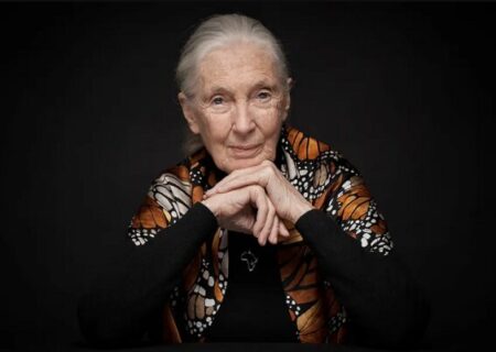 درگذشت جین گودال، بانوی شاخص دنیای مستند