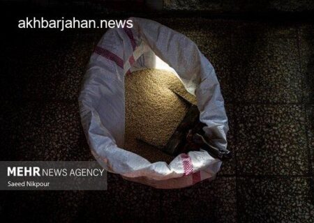 هشدار دستگاه قضا به محتکران برنج: با متخلفان برخورد جدی می‌شود