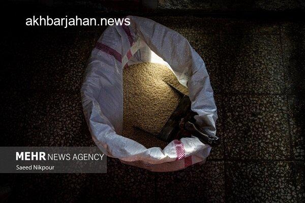 هشدار دستگاه قضا به محتکران برنج: با متخلفان برخورد جدی میشود