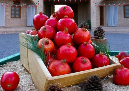 جشنواره انار ساوه؛ گامی مهم در راستای توسعه پایدار این شهرستان