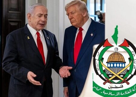 تحلیل یک کارشناس بین‌المللی از پاسخ حماس به ترامپ: انتخاب بهترین گزینه