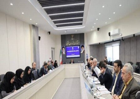 لزوم توجه متولیان به فرهنگ‌سازی جوانی جمعیت در خراسان جنوبی