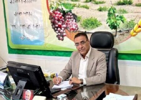 لکزایی خبر داد: اشتغال‌زایی برای ۲۶۰ نفر با آبیاری نوین مزارع خربزه در زهک