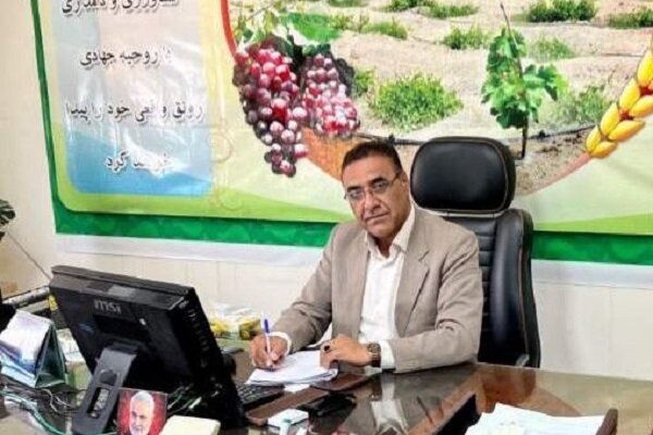 لکزایی خبر داد: اشتغالزایی برای ۲۶۰ نفر با آبیاری نوین مزارع خربزه در زهک