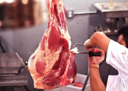 بهداشت و سلامت دام، در صدر برنامه‌های دامپزشکی جنوب شرق