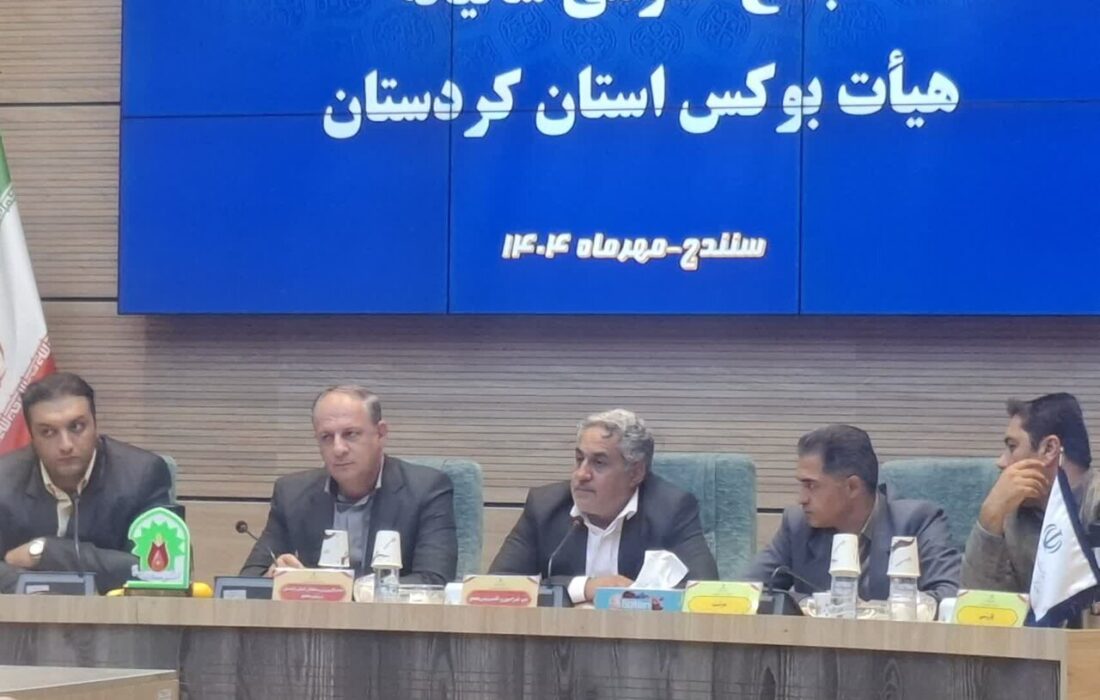 غلامزاده: فدراسیون بوکس با وجود محدودیتها در سطح ملی میدرخشد