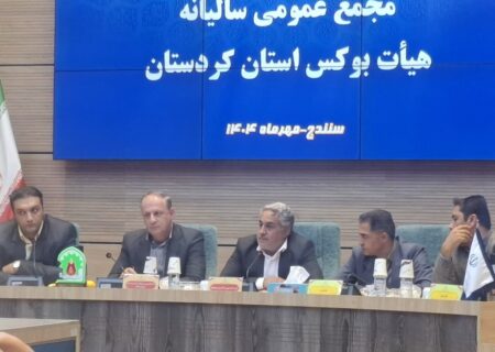 غلامزاده: فدراسیون بوکس با وجود محدودیت‌ها در سطح ملی می‌درخشد