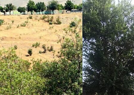 ثبت 2 اثر طبیعی استان کردستان در فهرست میراث طبیعی ملی