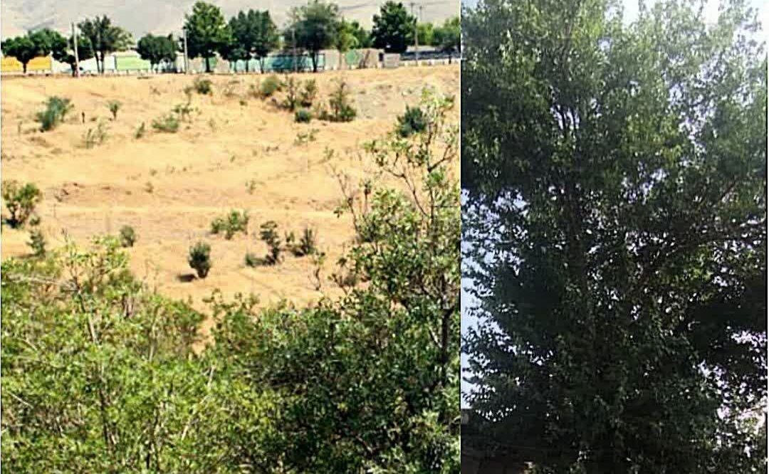 ثبت 2 اثر طبیعی استان کردستان در فهرست میراث طبیعی ملی