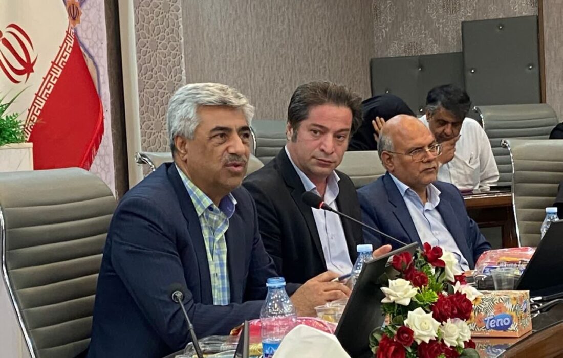 عاقلی: فرهنگ‌سازی در حوزه استاندارد، نقشی پررنگ در ارتقای کیفیت کالاهای ایرانی دارد