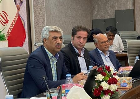 عاقلی: فرهنگ‌سازی در حوزه استاندارد، نقشی پررنگ در ارتقای کیفیت کالاهای ایرانی دارد