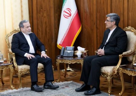 دیدار سفیر جدید ایران در تانزانیا با معاون وزیر خارجه عراقچی