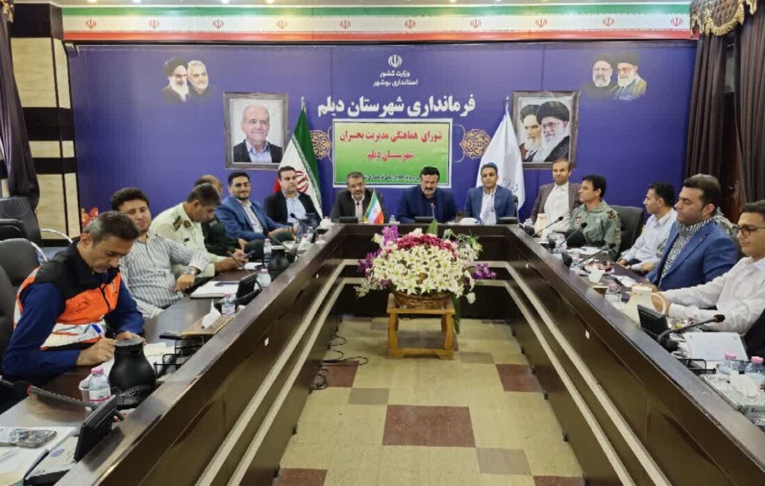 دهقان: لزوم هماهنگی بین دستگاهی و کارآمد در وضعیتهای اضطراری