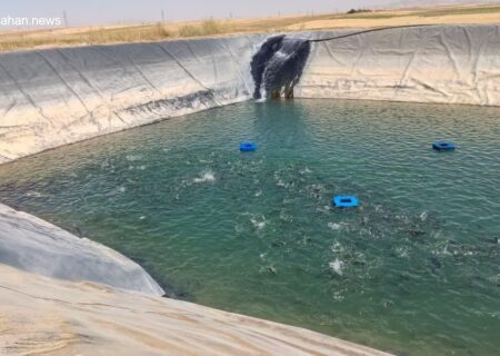 استخرهای دهگلان، ناجی کشاورزی و محل پرورش ماهی سردآبی