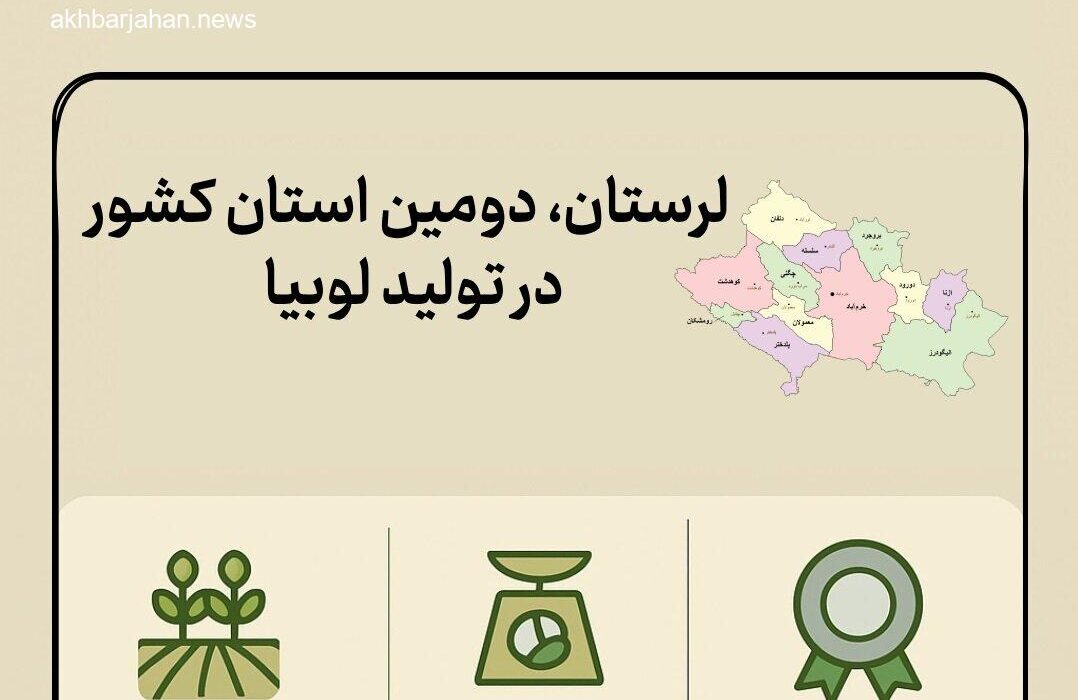 رتبه دوم لرستان در تولید لوبیا در کشور (اینفوگرافیک)
