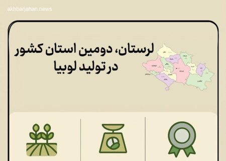 رتبه دوم لرستان در تولید لوبیا در کشور (اینفوگرافیک)