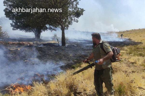 آتشسوزی گسترده در گیلانغرب، نابودی ۵۰ هکتار از مراتع