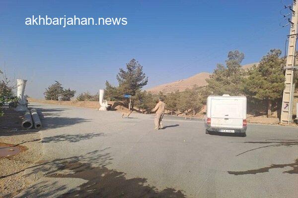 آغاز اجرای طرح جمعآوری سگهای بدون صاحب در 3 بوستان جنگلی تهران