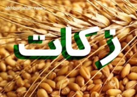 اجرای 30 طرح اشتغال‌زایی دامداری با زکات دام در ایلام به همت پویانی