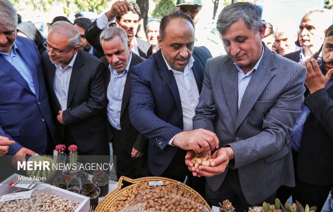 جشنواره بادام در خسروشاه آذربایجان شرقی برگزار شد