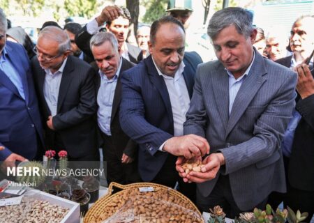 جشنواره بادام در خسروشاه آذربایجان شرقی برگزار شد