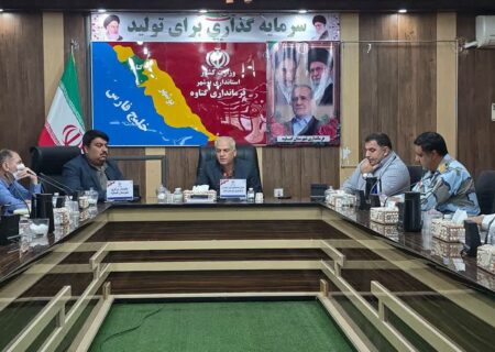 تاکید معاون فرماندار گناوه بر لزوم بازرسی مداوم از پمپ بنزین‌ها