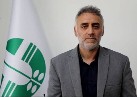 ارزیابی اثربخشی طرح‌های مقابله با طوفان گردوغبار در سیستان از سوی رایگانی